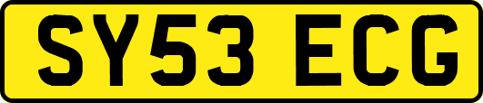 SY53ECG