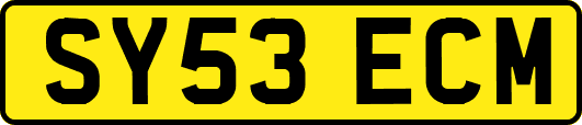 SY53ECM