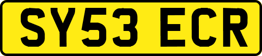 SY53ECR