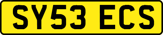 SY53ECS