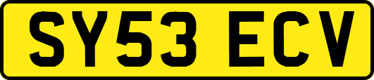 SY53ECV