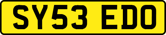 SY53EDO
