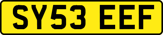 SY53EEF