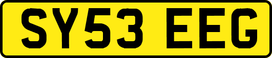 SY53EEG
