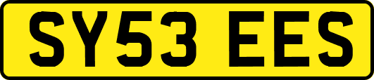 SY53EES
