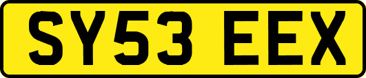 SY53EEX