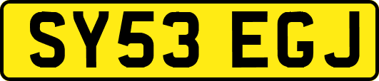 SY53EGJ