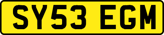 SY53EGM