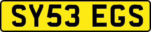 SY53EGS