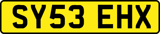 SY53EHX
