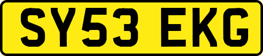SY53EKG