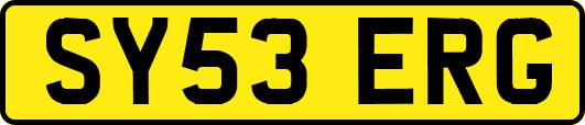 SY53ERG