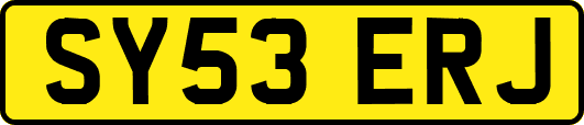 SY53ERJ