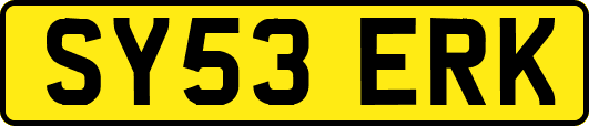 SY53ERK