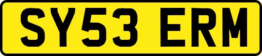 SY53ERM