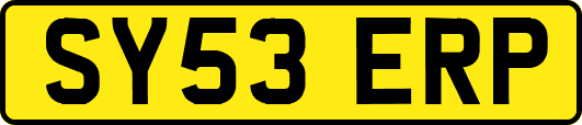 SY53ERP
