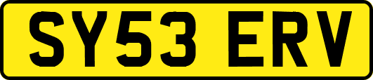 SY53ERV