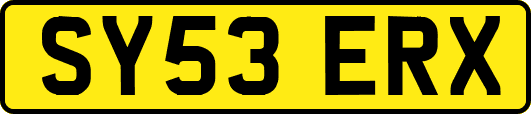 SY53ERX