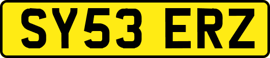 SY53ERZ