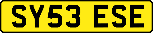 SY53ESE