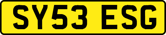 SY53ESG
