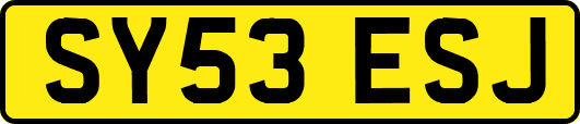 SY53ESJ