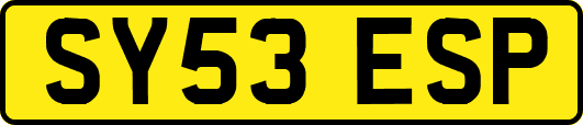 SY53ESP