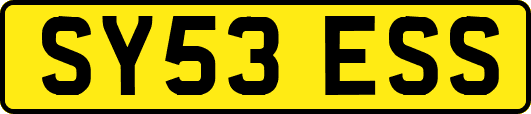 SY53ESS