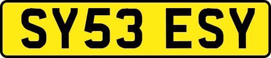 SY53ESY
