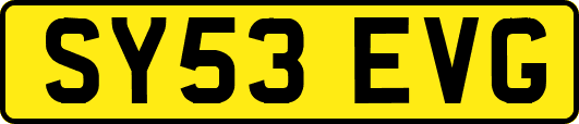 SY53EVG