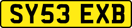 SY53EXB