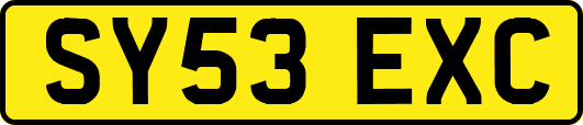SY53EXC