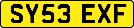 SY53EXF