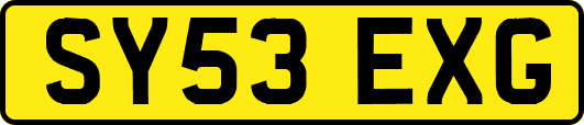 SY53EXG
