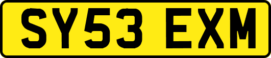 SY53EXM