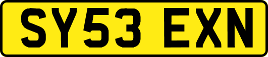 SY53EXN