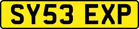 SY53EXP