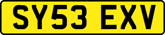 SY53EXV