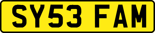 SY53FAM
