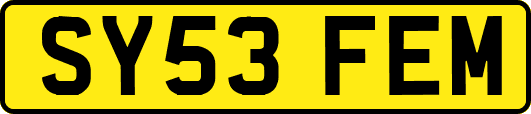 SY53FEM