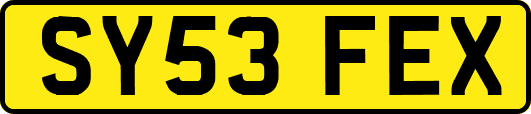 SY53FEX