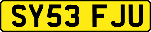SY53FJU