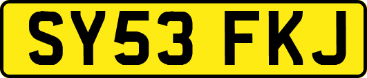 SY53FKJ