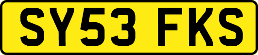 SY53FKS