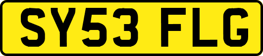 SY53FLG