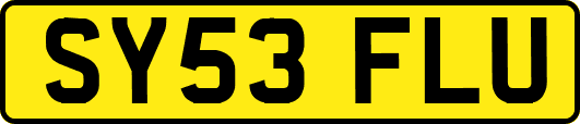 SY53FLU