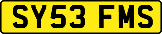 SY53FMS