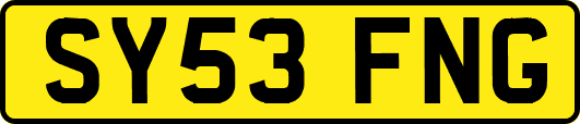 SY53FNG