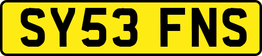 SY53FNS