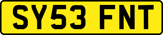 SY53FNT
